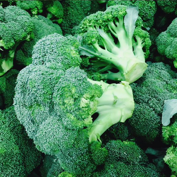 Broccoli