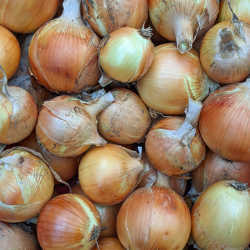 Yellow Onions