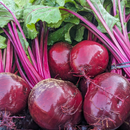 Beets-1