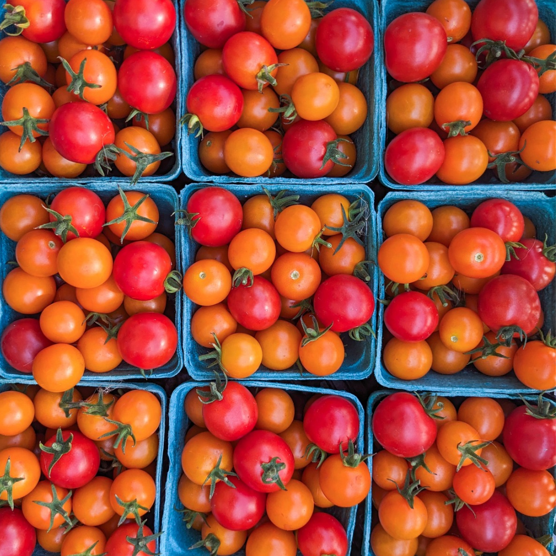 Cherry Tomatoes