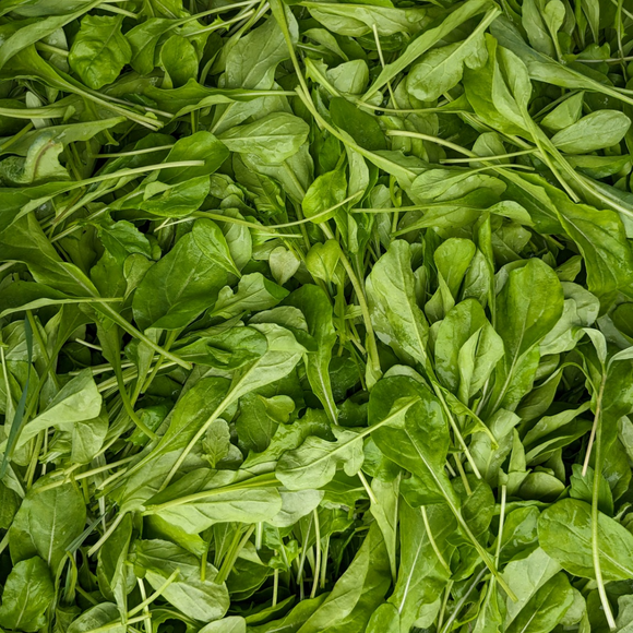 Arugula